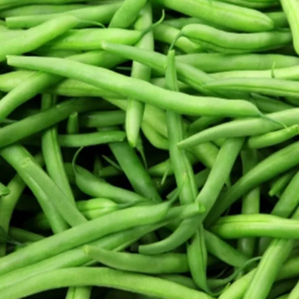 Kentucky Wonder Pole Bean 50 Ct Vegetable Fresh Seeds - £14.34 GBP