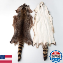 Natural Tanned American Raccoon Fur Hide Whole Skin Pelt, High Grade - $48.60
