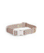 YOULY The Protector  Multicolored Reflective Dog Collar, Small - $13.85