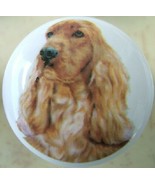Ceramic Cabinet Knobs Knob w/ Cocker Spaniel DOG - $5.98 CAD