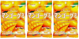 Japanese Kasugai Mango Gummy (Pack of 3)- 3.59 oz each - Free Shipping !!! - $13.95