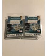 2X SCENTSATIONALS OCEAN TIDES 2.5 OZ WAX MELTS High Fragrance Wave Crashing - €10,04 EUR