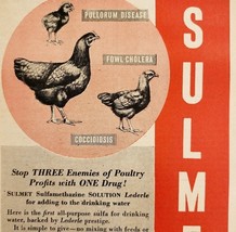 1947 Lederle Laboratories Sulmet Advertisement Farming Agriculture DWNN18 - $372.61 MXN