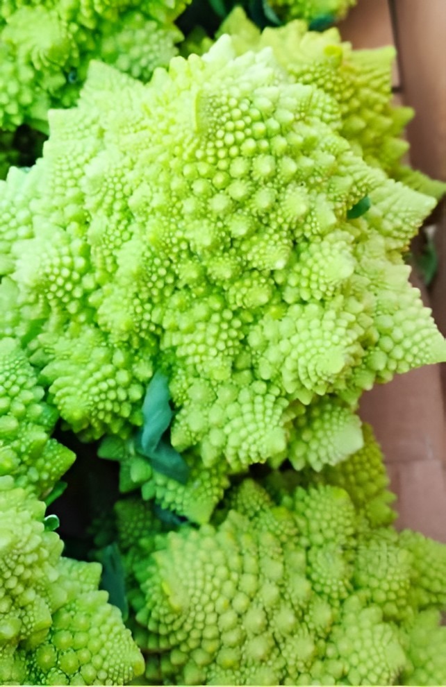 Broccoli Bulbs 200 Seeds Roman Broccoli Seeds Vegetables - Seeds & Bulbs