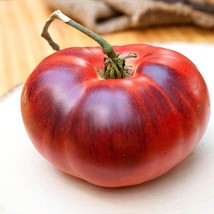 Indigo Apple Dark Purple Beefsteak Tomato Fresh Seeds From US - £11.34 GBP