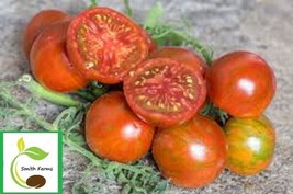 SL 50 Seeds Spike Tomato Tomatoe Vegetable Garden Edible Canning - $3.44