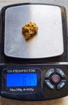 GOLD NUGGET - $2,247.24