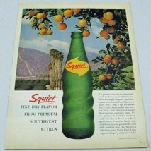 1962 Print Ad Squirt Soda Pop Citrus Fruit in Orchard Mountain in Background - £8.57 GBP