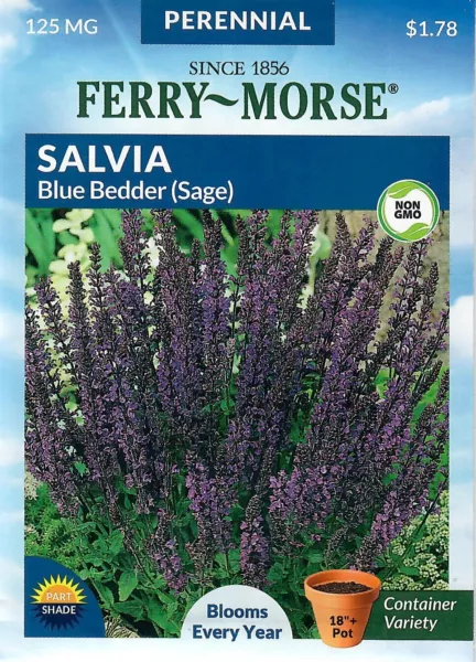 Salvia Blue Bedder Flower Seeds Non-Gmo - Ferry Morse 12/24 Fresh Garden - $8.00