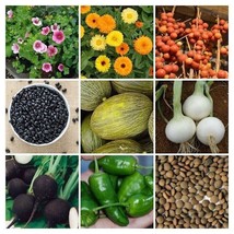 Garden vegetable package from Spain - SORTIMENT - 9 varieties - 135+ seeds - V 1 - £7.85 GBP