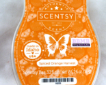 Scentsy Wax Bar Spiced Orange Harvest New - $5.53