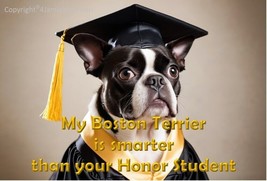 Boston Terrier in Graduation Cap and Gown Art Print on Photo 11&quot; x 17&quot; - £15.63 GBP