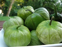 100 Tomatillo Verde Seeds Delicious Green Tomatillo Seeds Beautifully Fresh Gard - $10.88