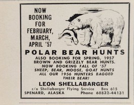 1956 Print Ad Polar Bear Hunts Leon Shellabarger Flying Service Spenard,Alaska - £6.02 GBP