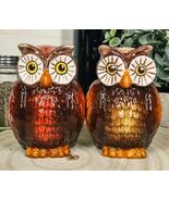 Nocturnal Tropical Great Horned Owl Couple Ceramic Salt Pepper Shakers F... - €14,60 EUR