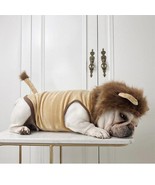 Pet Costume: Lion King Transformation Outfit For Dogs And Cats - £18.78 GBP+
