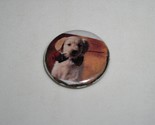 Dog Rose In Mouth Pinback Button Unbranded Love Gesture 13/16&quot; Diameter - $9.99