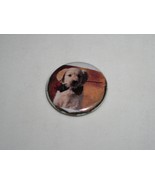 Dog Rose In Mouth Pinback Button Unbranded Love Gesture 13/16&quot; Diameter - $188.43 MXN