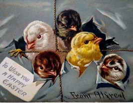 Easter Postcard Baby Chicks Bursting Out Tucks Serie 700 Embossed Unused Vintage - £4.73 GBP