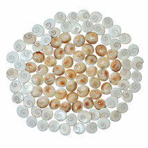 Wholesale Lot 50 Pcs Natural Gomti Chakra Best Quality For Laxmi Puja Pooja - £43.67 GBP