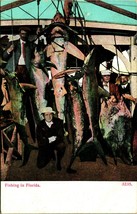 Fishing In Florida Sharks Tuna Hanging Posed UNP DB Postcard 1910s Unused - $9.85