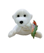 Bean Sprouts White Polar Bear Named Sasha Bean Bag Plush 6&quot; NWT 32529 Ag... - £5.23 GBP