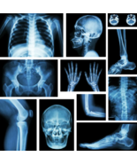 Healthy Bones Tincture - $644.37 MXN