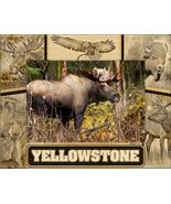 Yellowstone National Park Wildlife Collage Engraved Picture Frame Landsc... - $563.94 MXN