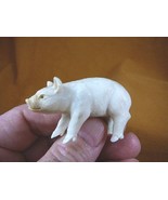 (PIG-1) little white baby Pig shed ANTLER figurine Bali detailed carving... - $1,840.08 MXN
