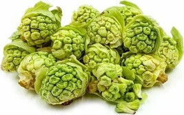 Organic Brassica Juncea Coss Vegetable, 30 seeds - $10.29