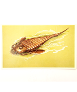 1975 EURYPTERID Dinosaur Card Vintage Prehistoric Illustration Ephemera ... - $368.02 MXN
