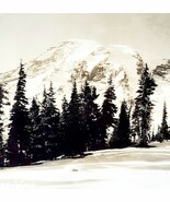RPPC Mount Rainier 191 Ellis 1920s Washington Pacific NW PCBG6C - $41.01 CAD