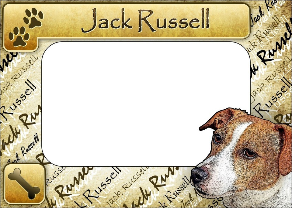 Jack Russell Picture Frame Fridge Magnet - $13.99