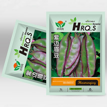 Grow Your Own Palette 5 Bags 10 Seeds / Bag Of Hyacinth Bean In Purple A... - $16.07