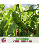 AD 50 Anaheim Chili Pepper Seeds Non Gmo Home Garden - €11,31 EUR