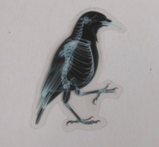 Raven X-Ray Transparent Sticker 2.38&quot; x 1.75&quot; (M) - $1.64