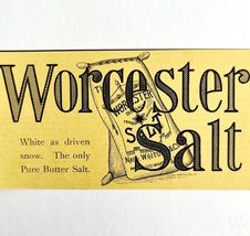 Worcester Salt Nash Whiton NY 1894 Advertisement Victorian Spices 3 ADBN1m - $19.99
