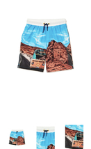 Wonder Nation Boys’ Quick Dry Swim Trunks, UPF 50+ - $19.00