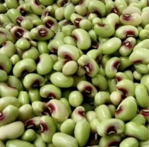 Pink Eye Purple Hull Peas (Southern Cowpeas) Seed Fresh Garden - $7.98