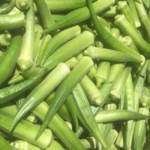 Emerald Okra Seeds Organic New Fresh Seeds - $3.96