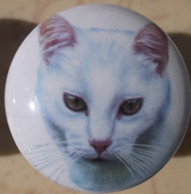 Cabinet Knobs w/ Kitten Short haired White 272 - £4.06 GBP