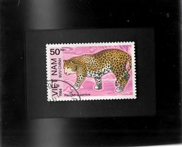 Tchotchke Framed Stamp Art - Exotic Asian Wildlife - Leopard - £6.28 GBP