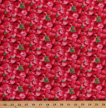 Cotton Raspberries Raspberry Fruit Food Berries Cotton Fabric Print Bty D682.47 - £22.34 GBP