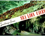 Dual View Banner Greetings Sea Lion Caves Florence OR UNP Chrome Postcar... - $2.67