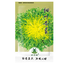 Worldwide Shipping 1000Pcs Cichorium Endivia 苦苣Seeds Organic Green Curle... - $10.90