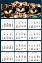 2022 Magnetic Calendar - Today is My Lucky Day - Dogs Themed 08 (8 x 5.25) - £7.81 GBP