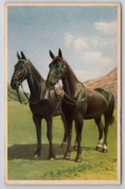 Alfred Mainzer Beautiful Black Horses Art Postcard D25 - £10.15 GBP