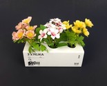 Ikea Fejka 3 Artificial Potted Plants 5.5&quot; with Pot Flower Mix  Indoor O... - £8.67 GBP