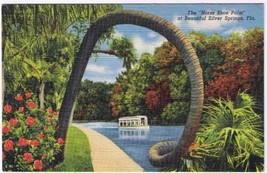 Florida Postcard Silver Springs Horse Shoe Palm  - $2.12