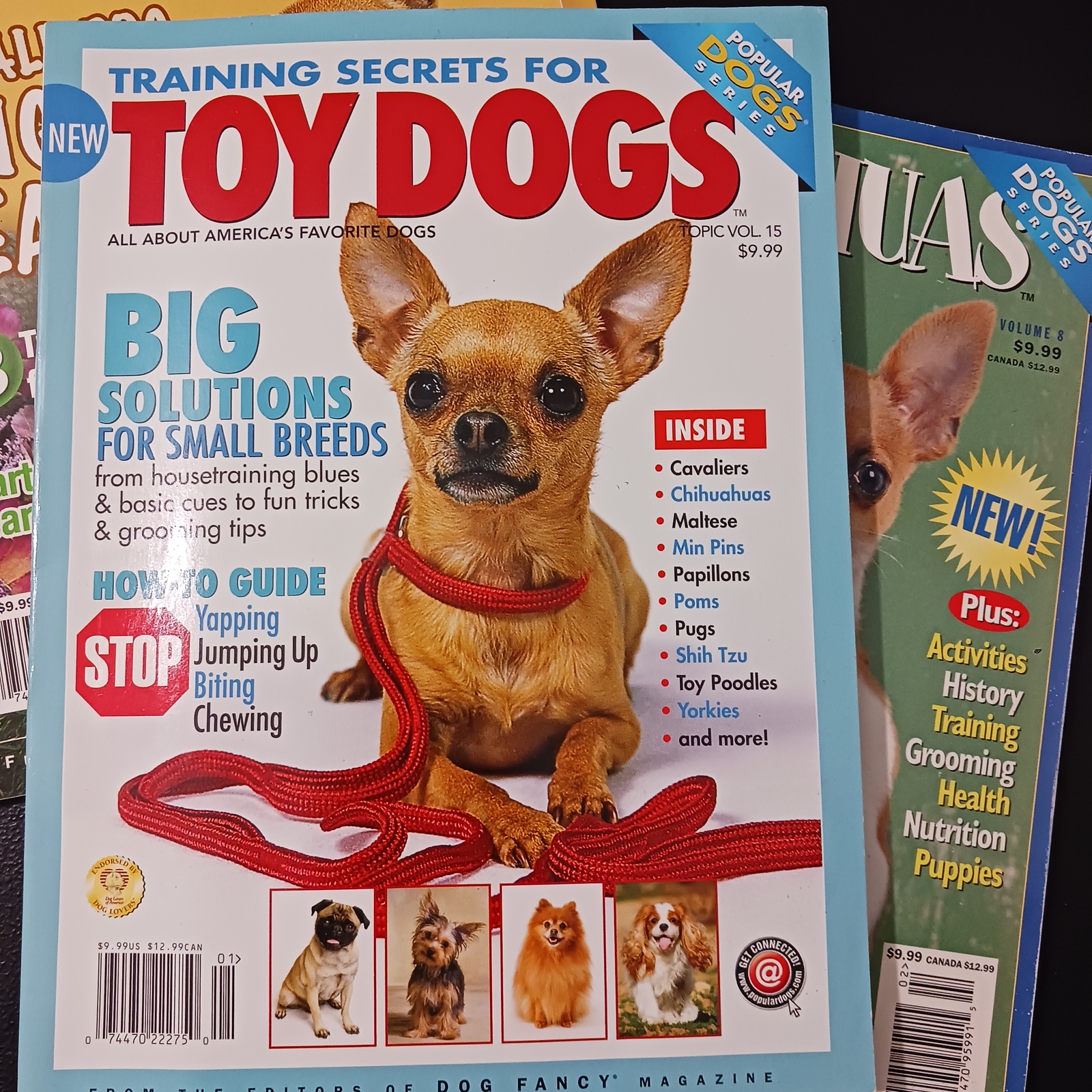 Chihuahuas Fancy Dog Magazine Back Issue Lot Dog Reading Material on Animals Magazines
